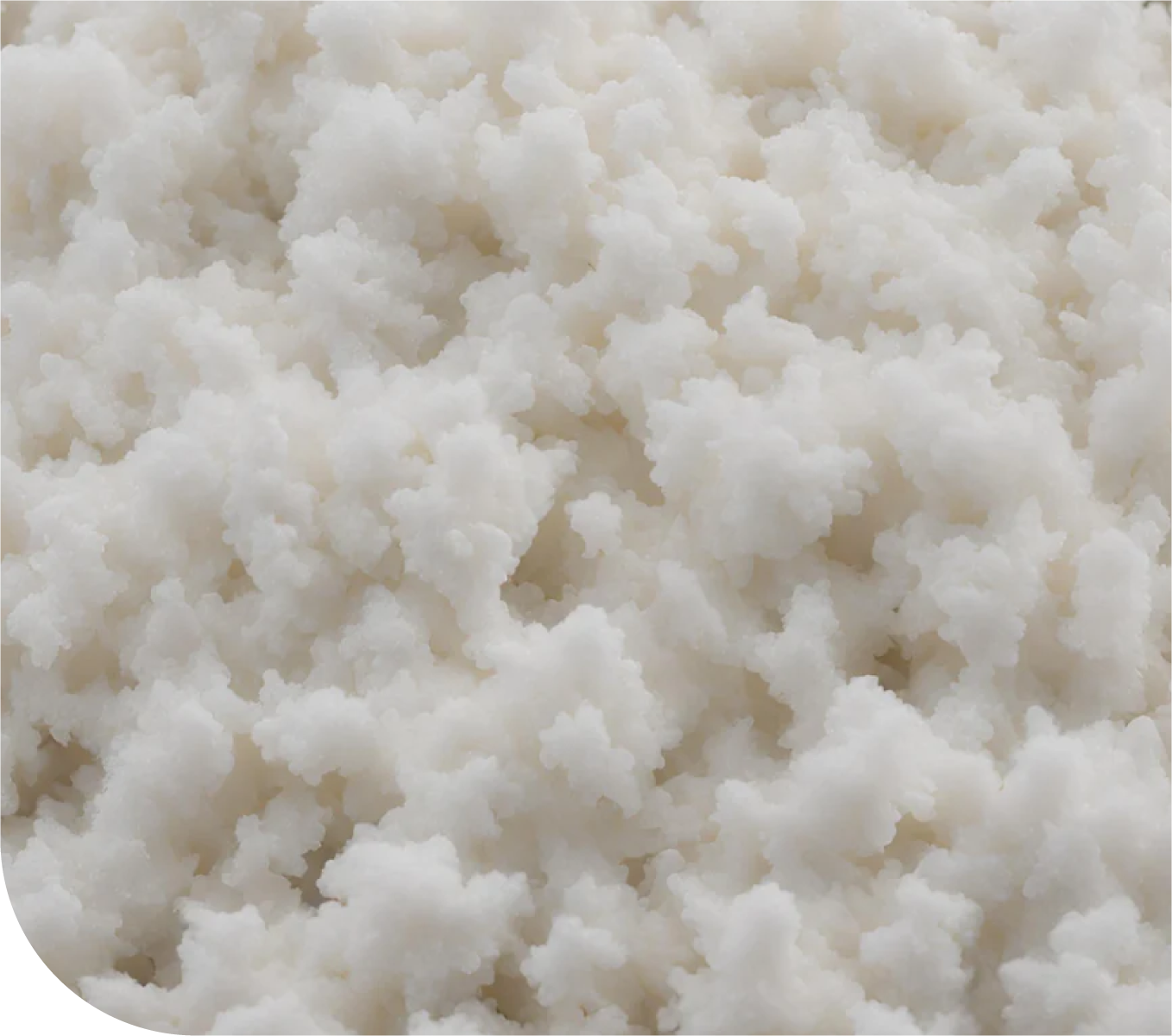 High-Quality, Exclusive Foam