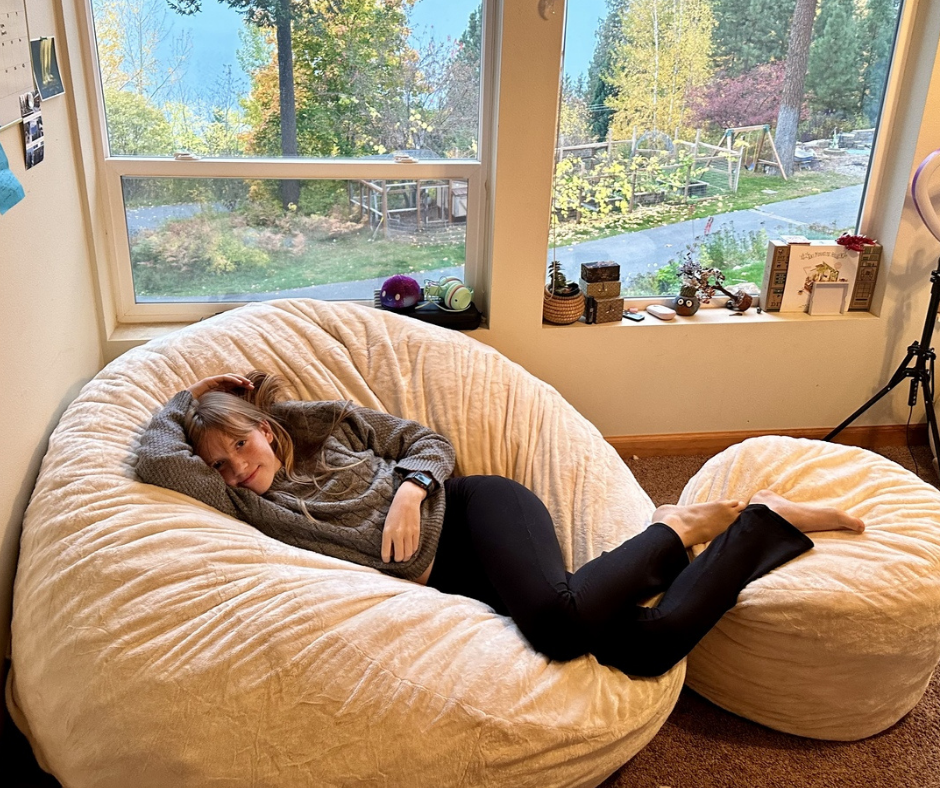 Affordable High Quality Bean Bag Chairs Ultimate Sack